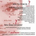 Perawatan Wajah Dengan Pokcin